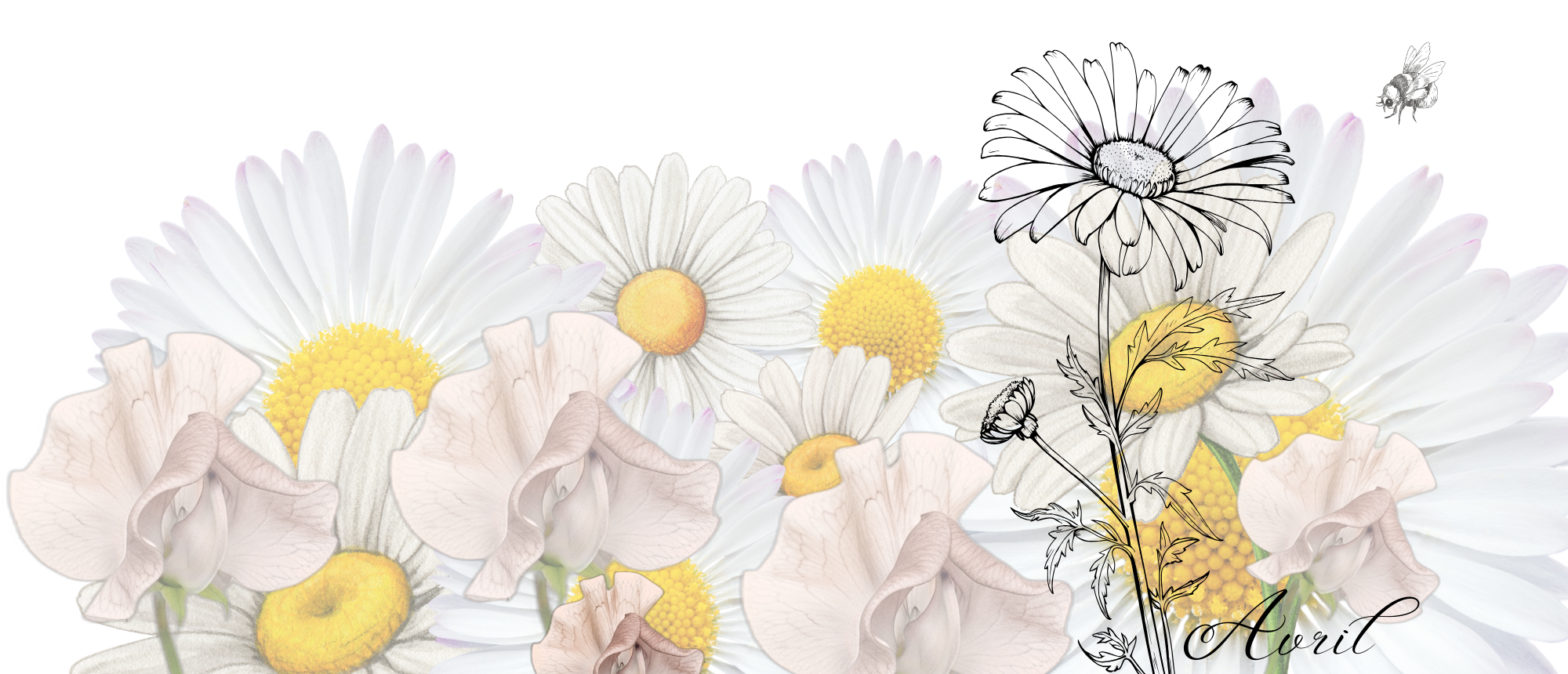 Tasse personnalisée nom et fleur de naissance